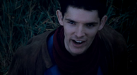 I am a Dragonlord.png