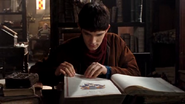 Merlin in the Library