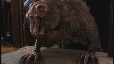 Wilddeoren in Lancelot and Guinevere