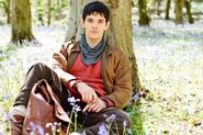 Merlin series 5