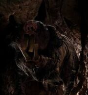 Wilddeoren3.jpg