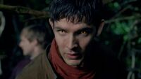 Merlin Path Seeing