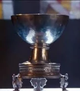 Cup of Life.jpg (6 KB)