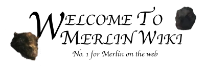 Welcome to Merlin Wiki.png