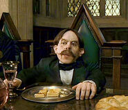 As Professor Flitwick in Harry Potter