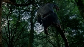 Gwaine's plans to kill Morgana are thwarted.