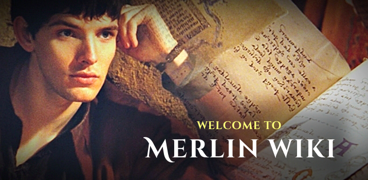 WelcomeToMerlinWiki21