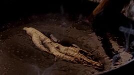 3x01 Mandragore