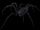 Araignée balorienne