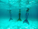 The Three Tails Underwater