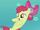 Apple Bloom