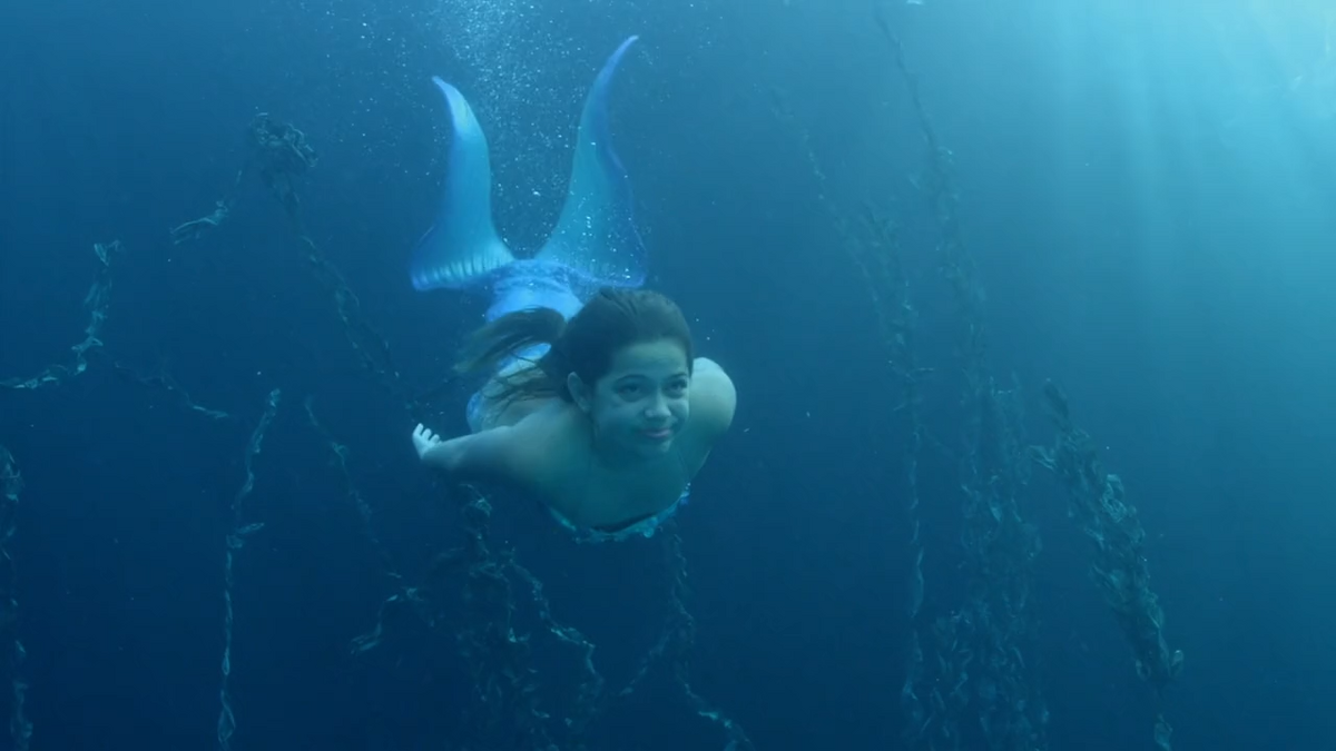 Siren (Scales Mermaids Are Real) Mermaid Wiki Fandom