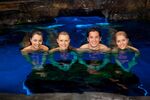 Mako Mermaids In Water