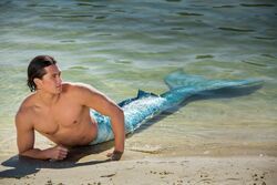 Zac Blakely  H2O & Mako Mermaids Amino