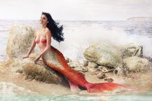 Dyesebel 03