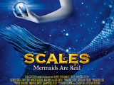 Scales: Mermaids Are Real