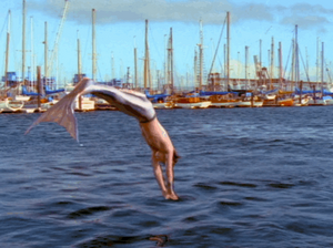 Cody Diving.png