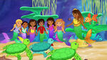 Mermaids and Turtles