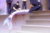 Mermaid (Pet Shop of Horrors) | Mermaid Wiki | Fandom