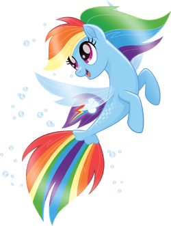 Rainbow Dash Mermaid Wiki Fandom