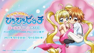 【正規品直輸入】 Cafe Map Stella | Fandom | Wiki melody Mermaid その他
