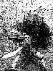 Kropmoria2.jpg