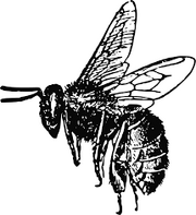 2019-06-07-16-24-25--388204450.png