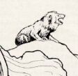 Snowlion.jpg
