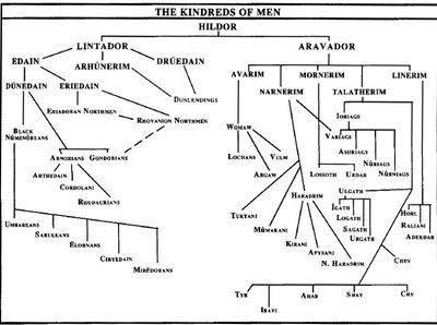 Genealogy of the Hildor