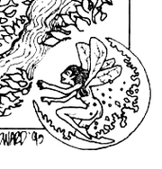 Fairy