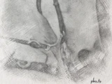 Asfaloth