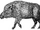 Fen boars