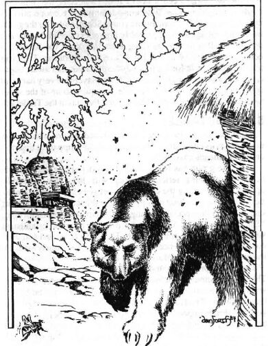 Bear.jpg