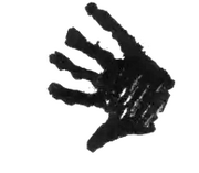 Theblackhand