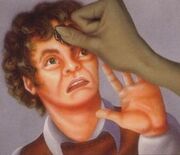 Merrypippin.jpg