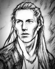 Celeborn2