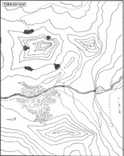 Nychennacatt2