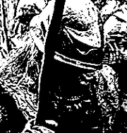 Morgul Hound
