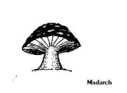 Madarch.jpg