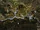 Rivendell