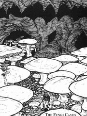 Funghi