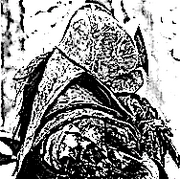 Brawling Uruk