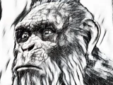 Karku