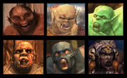 Orcs