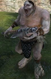 Durub.jpg