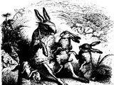 Fairy animals