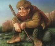 RobinSmallburrow.jpg