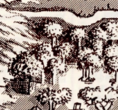 Burntforest