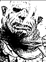 Mordor Warrior.png