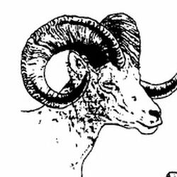 Wild goats of southern Rhovanion | The New Notion Club Archives | Fandom